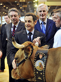 Sarkozy's Temper
