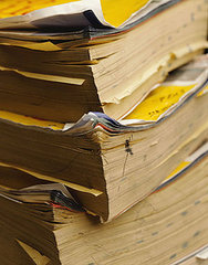 Tricks My Mama Taught Me: Telephone Book 