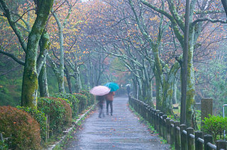 Grab an Umbrella, It's Time for April Showers!
