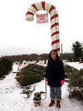 at the Christmas tree farm