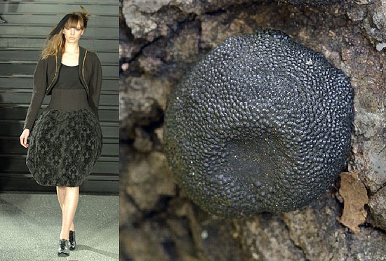 Trend de la Creme For Coutorture:  Wild Growth