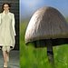Trend de la Creme For Coutorture:  Wild Growth