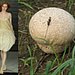 Trend de la Creme For Coutorture:  Wild Growth