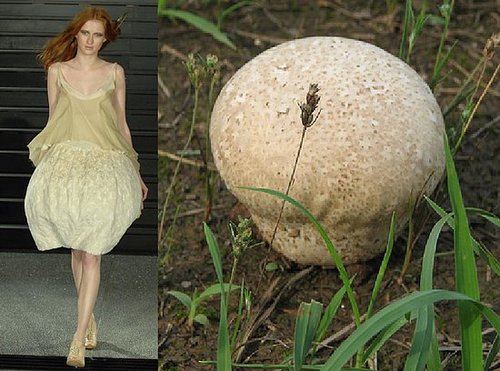 Trend de la Creme For Coutorture: Wild Growth Trend de la Creme For Coutorture: Wild Growth