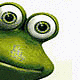 froggieb froggieb