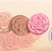 Valerie Beverly Hills Rose Blush