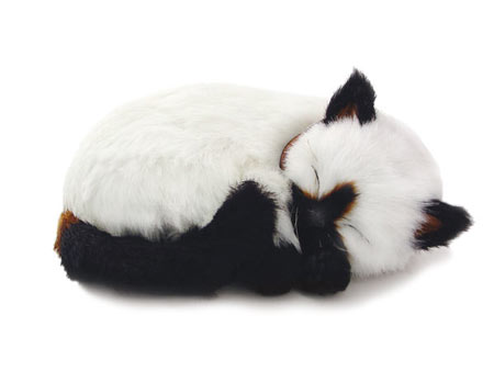 Perfect Petzzz: Siamese Cat Perfect Petzzz: Siamese Cat