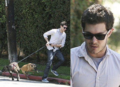 Adam Brody Take His Dogs For A Walk