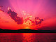 Penny C's picture