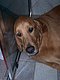rhettromeo2004 rhettromeo2004