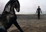Madonna as a horse trainer