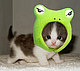 Fab_Kitty