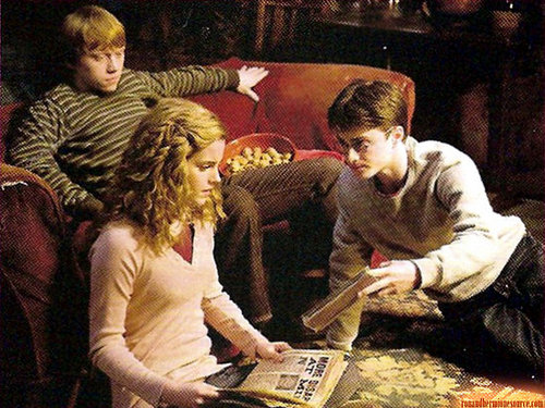 First photo from HBP!