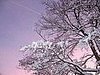 Midday Muse: Winter Sunsets