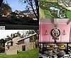 Week in Review Quiz