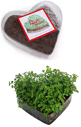 Love Shack:  The Heart Garden