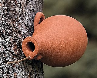 Steal of the Day: Terra Cotta Birdhouse