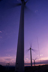 Casa Verde:  LA Gets Windy