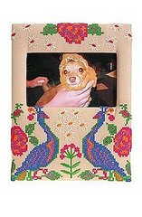 Love It or Hate It? Peacock Frame