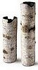 Steal of the Day: Birch Vases