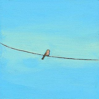 Roundup: Your Kitchen's For the Birds