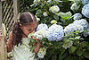 Soil pH