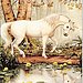 ~UNICORNS ARE REAL~ Rate this blank card!
