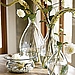A Beautiful New Vase