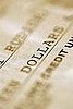 What Will You Do With Your Rebate Check?