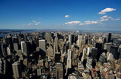 Dear Quiz: The Big Apple Has Some Big Problems! Dear Quiz: The Big Apple Has Some Big Problems!