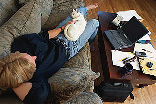 Cat Guys; The New Trend