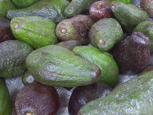Avocados Avocados