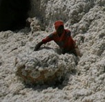 Want Cheap Clothes? The Cotton Industry's Not 100% Fit 