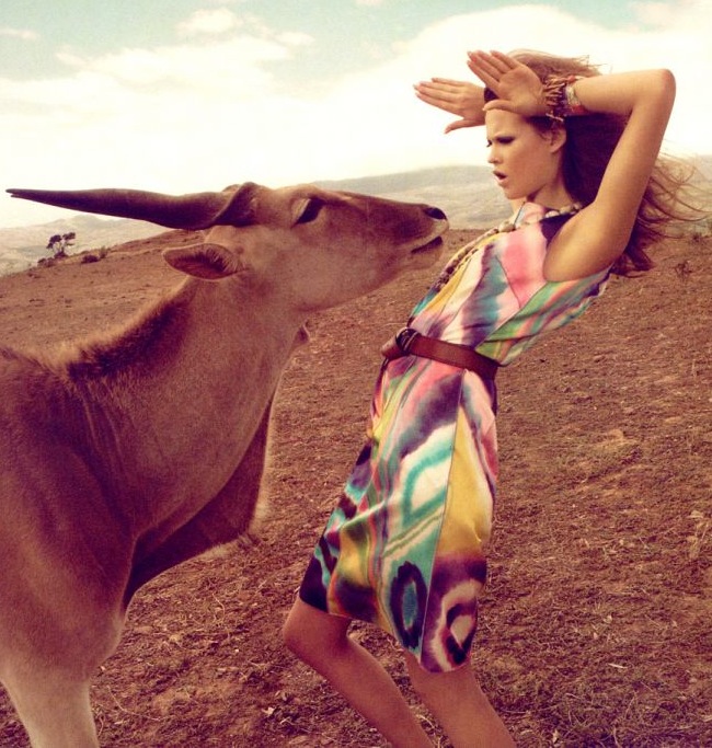 Animal Hause Animal Hause