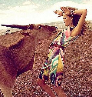 Fab Photos of the Week