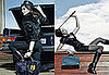 Stephanie Seymour in Loewe Fall '08 ad campaign