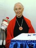 Jane Goodall Autographed Sock Monkey Auctioned for Education Fund