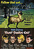 Cat Movie Titles: Real or Fake?