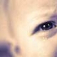 kribaby