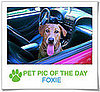 Pet Pics on PetSugar 2008-12-30 09:30:00