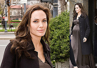 The Jolie-Pitts Are in the Air, Space, and DC
