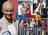 Photos of Bald Cameron Diaz on the Set of "My Sister's Keeper"