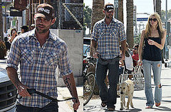 Seann William Scott — Sexy or Not? Seann William Scott — Sexy or Not?