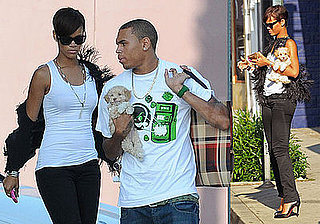 Photos of Chris Brown and Rihanna Shopping With a Puppy