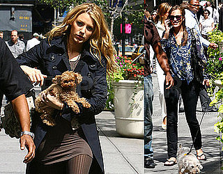 Photos of Leighton Meester, Penn Badgley, and Blake Lively On the Set of Gossip Girl