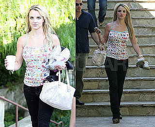 Photos of Britney Spears Who Put Her House on Market for $7.9 Million