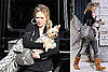 Photos of Hilary Duff With Her Yorkie at the Veterinary Clinic