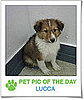 Pet Pics on Petsugar 2008-11-24 09:30:51