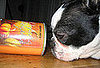 PetSugar Weekly Recap 2008-11-29 03:00:49