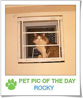 Pet Pics on PetSugar 2008-12-01 09:30:00